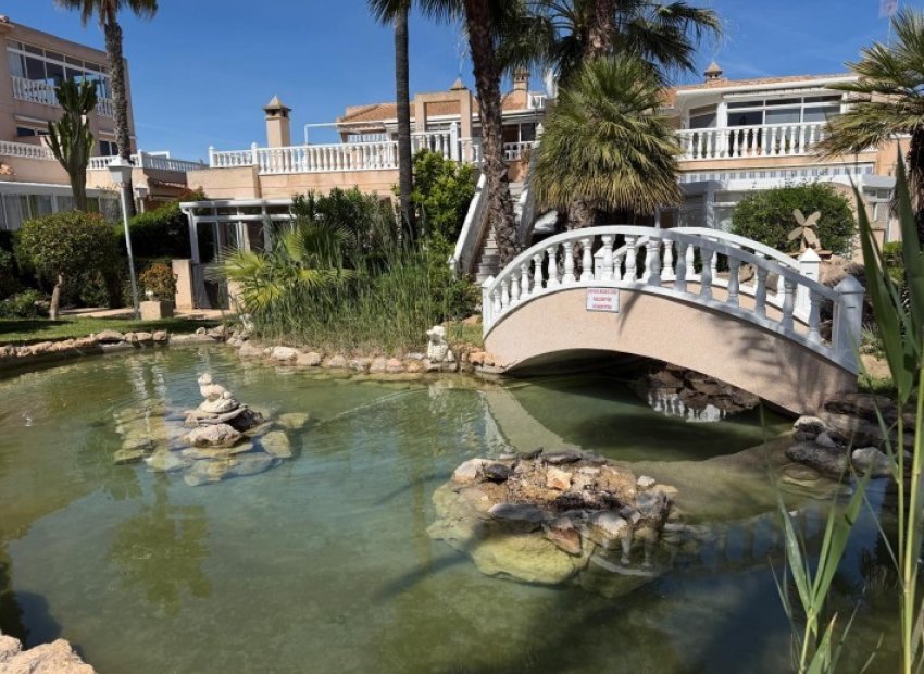 Herverkoop - Apartments - Flats - Orihuela Costa - Playa Flamenca