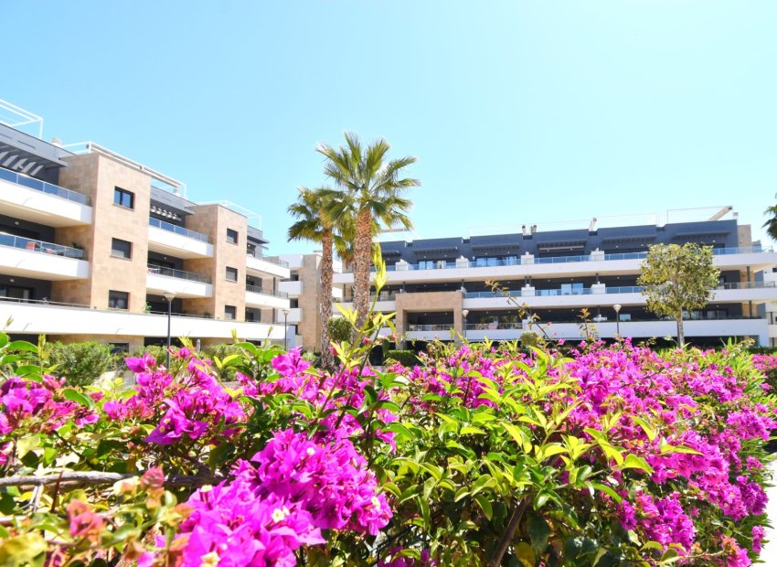 Herverkoop - Apartments - Flats - Orihuela Costa - Playa Flamenca