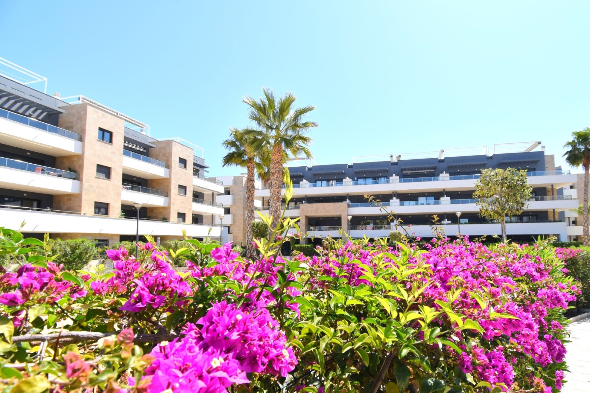Herverkoop - Apartments - Flats - Orihuela Costa - Playa Flamenca