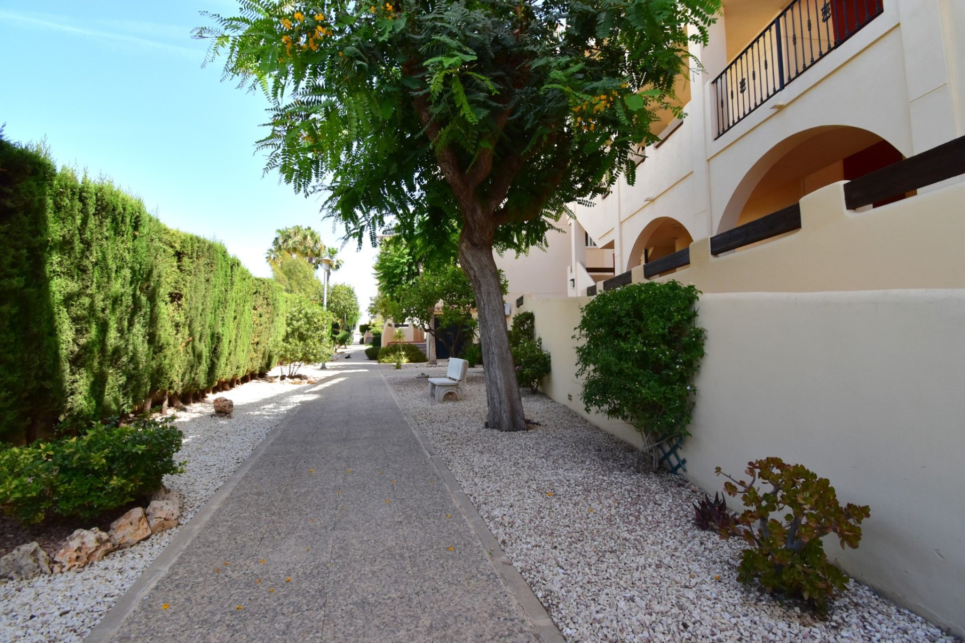 Herverkoop - Apartments - Flats - Orihuela Costa - Playa Flamenca