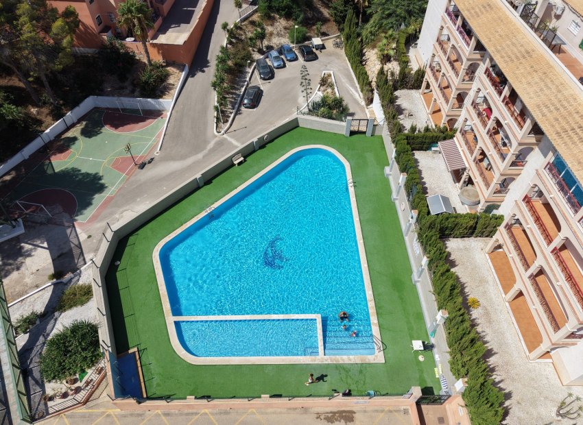 Herverkoop - Apartments - Flats - Orihuela Costa - Playa Flamenca
