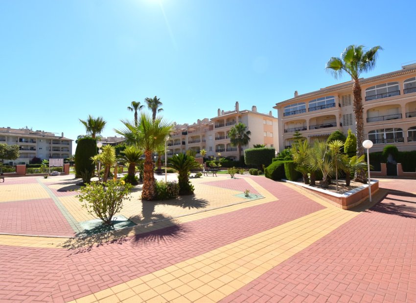 Herverkoop - Apartments - Flats - Orihuela Costa - Playa Flamenca