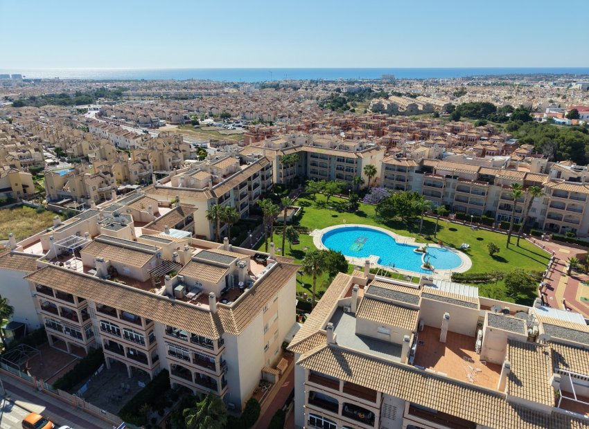 Herverkoop - Apartments - Flats - Orihuela Costa - Playa Flamenca