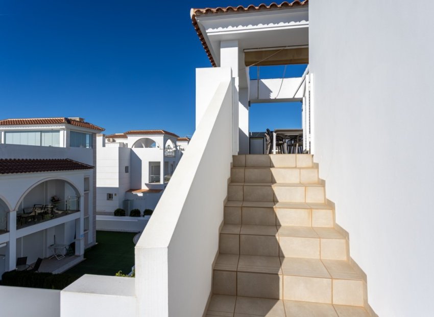 Herverkoop - Apartments - Flats - Rojales - Ciudad Quesada