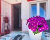 Herverkoop - Apartments - Flats - Torrevieia - Cabo Cervera