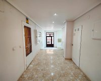 Herverkoop - Apartments - Flats - Torrevieia - Center