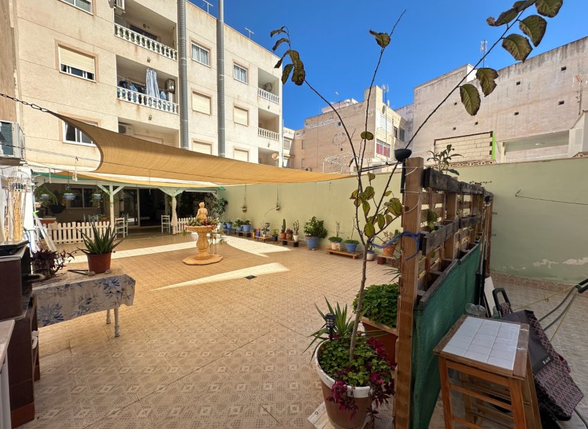 Herverkoop - Apartments - Flats - Torrevieia - Center