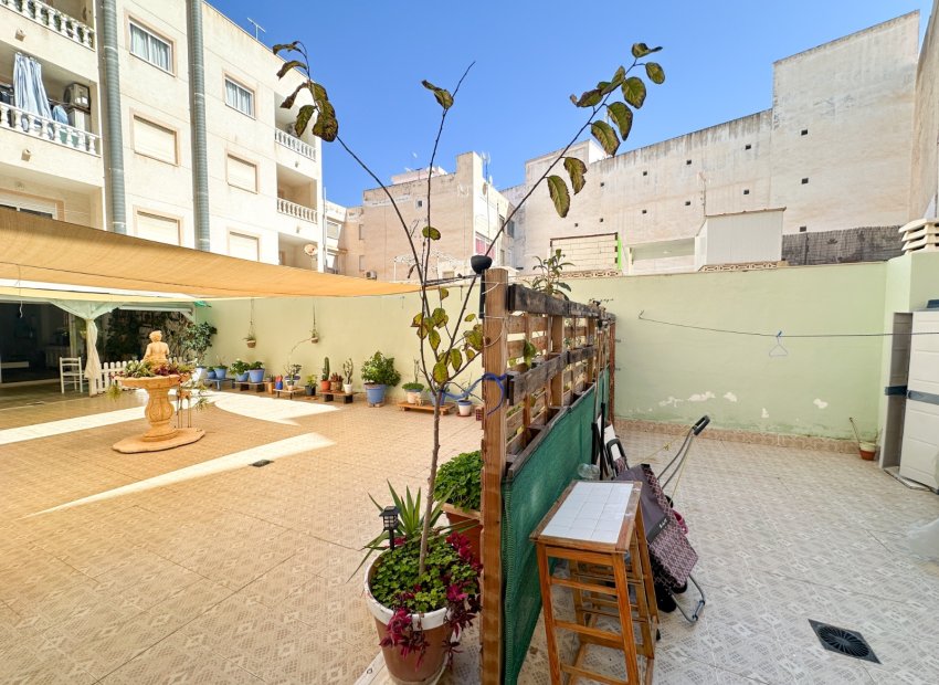 Herverkoop - Apartments - Flats - Torrevieia - Center