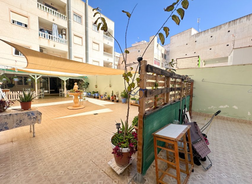 Herverkoop - Apartments - Flats - Torrevieia - Center