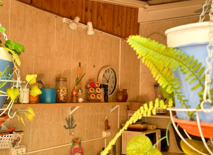 Herverkoop - Apartments - Flats - Torrevieia - Center