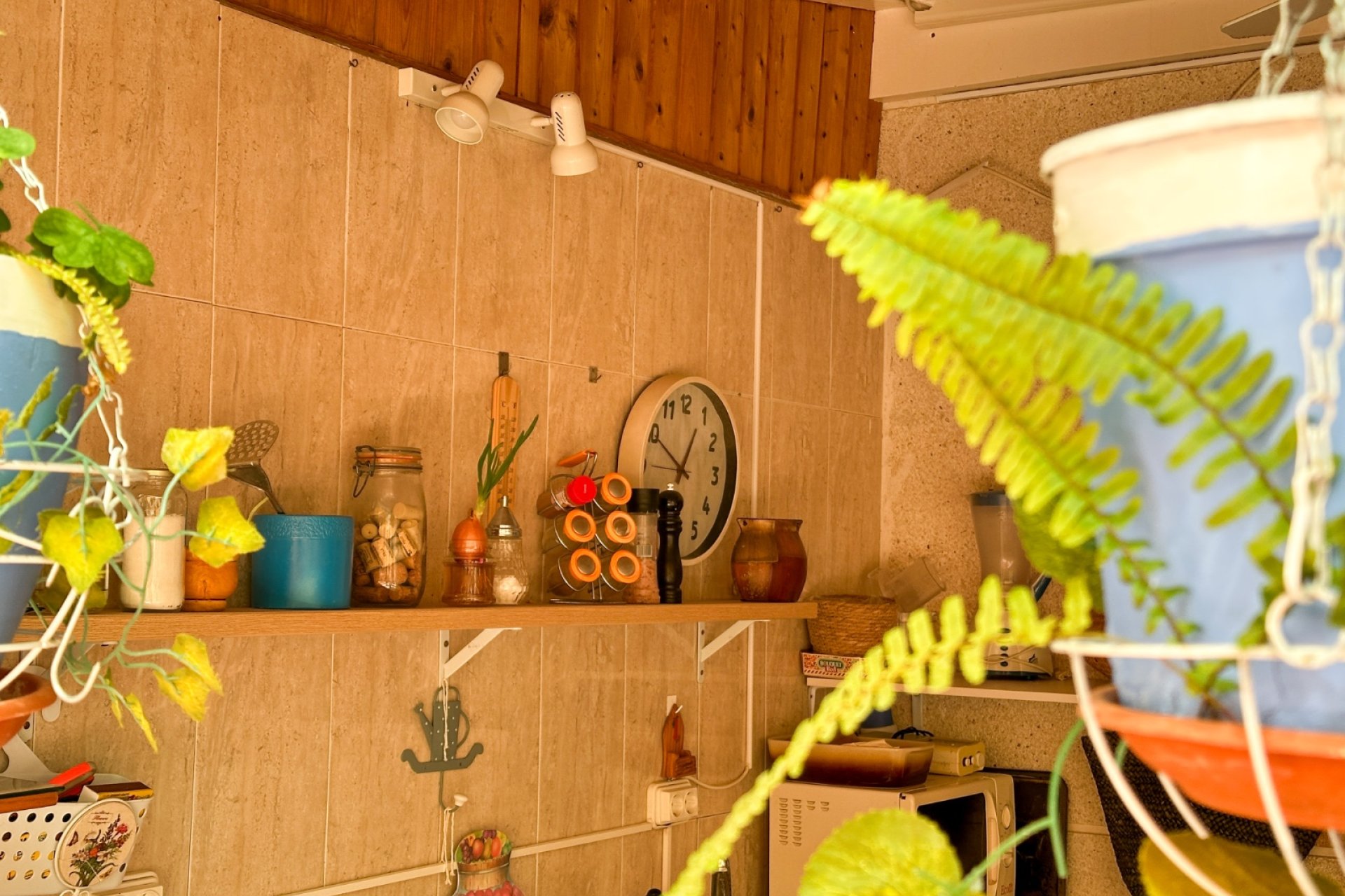 Herverkoop - Apartments - Flats - Torrevieia - Center
