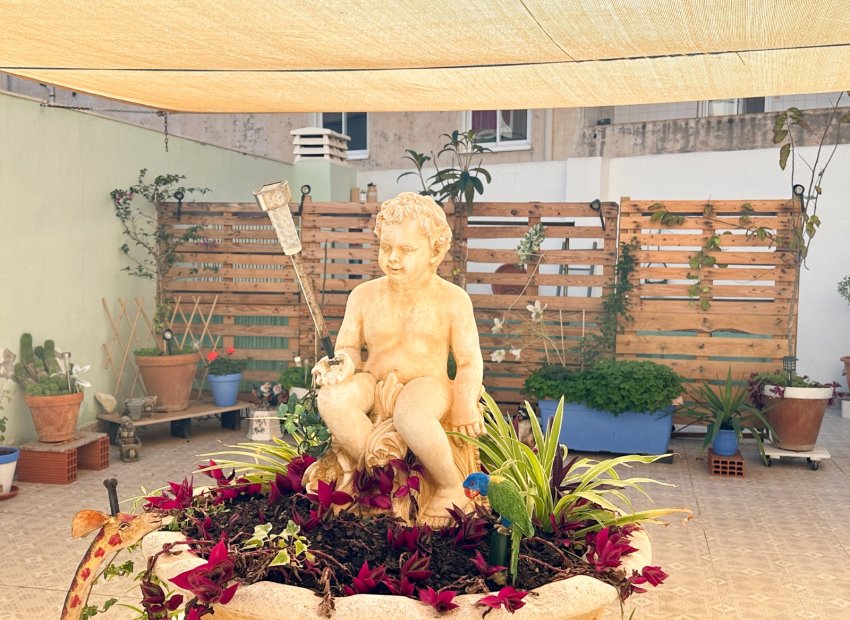 Herverkoop - Apartments - Flats - Torrevieia - Center