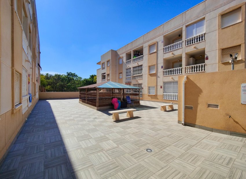 Herverkoop - Apartments - Flats - Torrevieia - Center