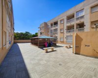 Herverkoop - Apartments - Flats - Torrevieia - Center