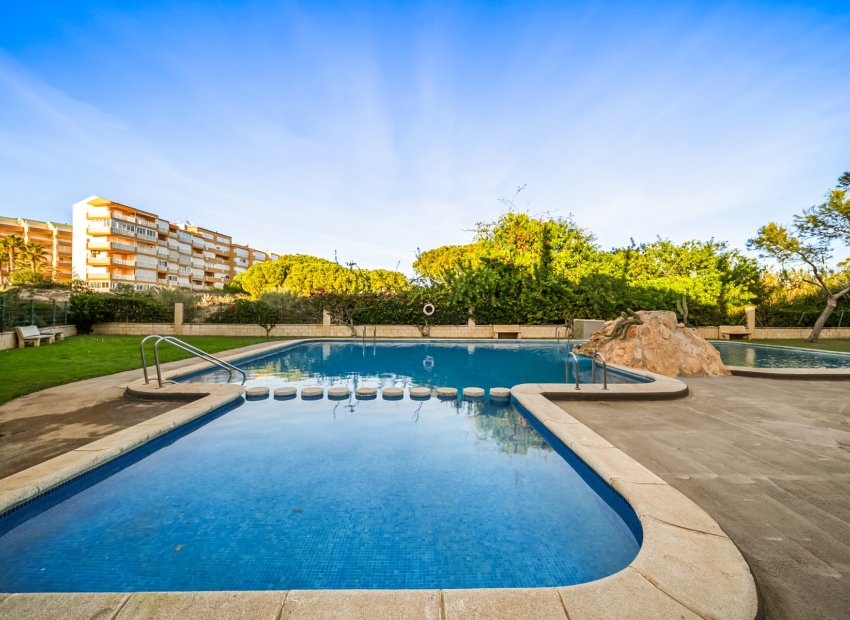 Herverkoop - Apartments - Flats - Torrevieia - La Mata