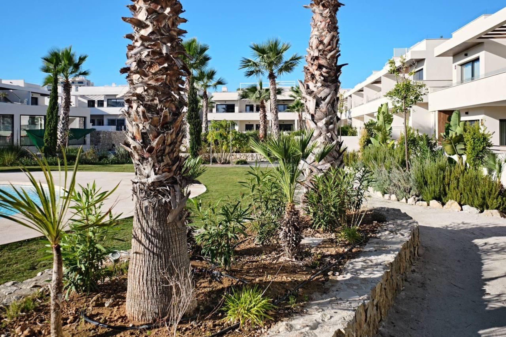 Herverkoop - Apartments - Flats - Torrevieia - La Veleta