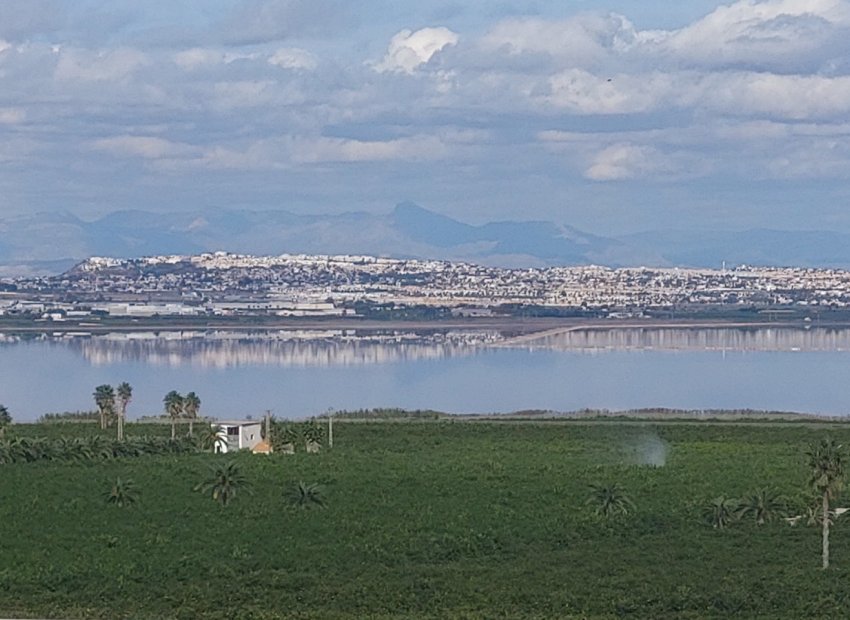 Herverkoop - Apartments - Flats - Torrevieia - Los Balcones