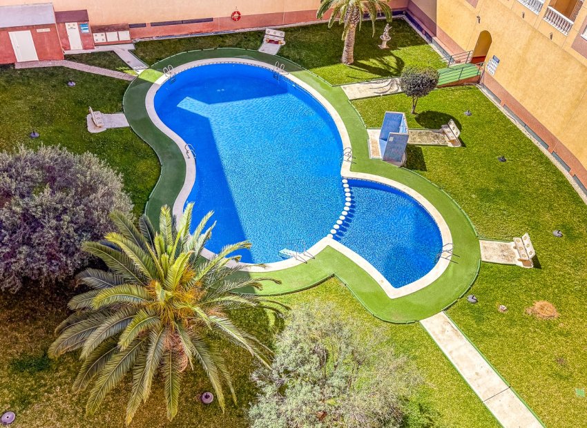 Herverkoop - Apartments - Flats - Torrevieia - Parque de las Naciones