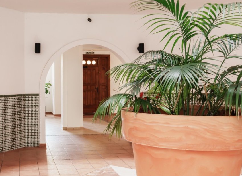 Herverkoop - Apartments - Flats - Torrevieia - Playa Los Locos
