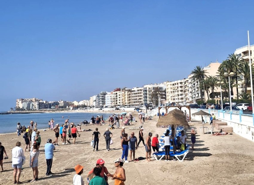 Herverkoop - Apartments - Flats - Torrevieia - Playa Los Locos