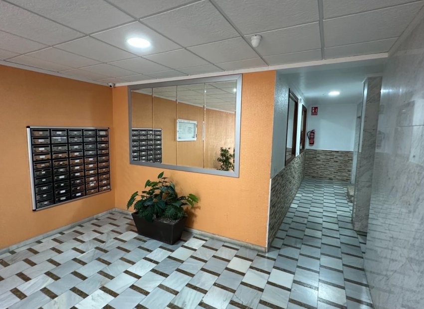 Herverkoop - Apartments - Flats - Torrevieia - Playa Los Naufragos