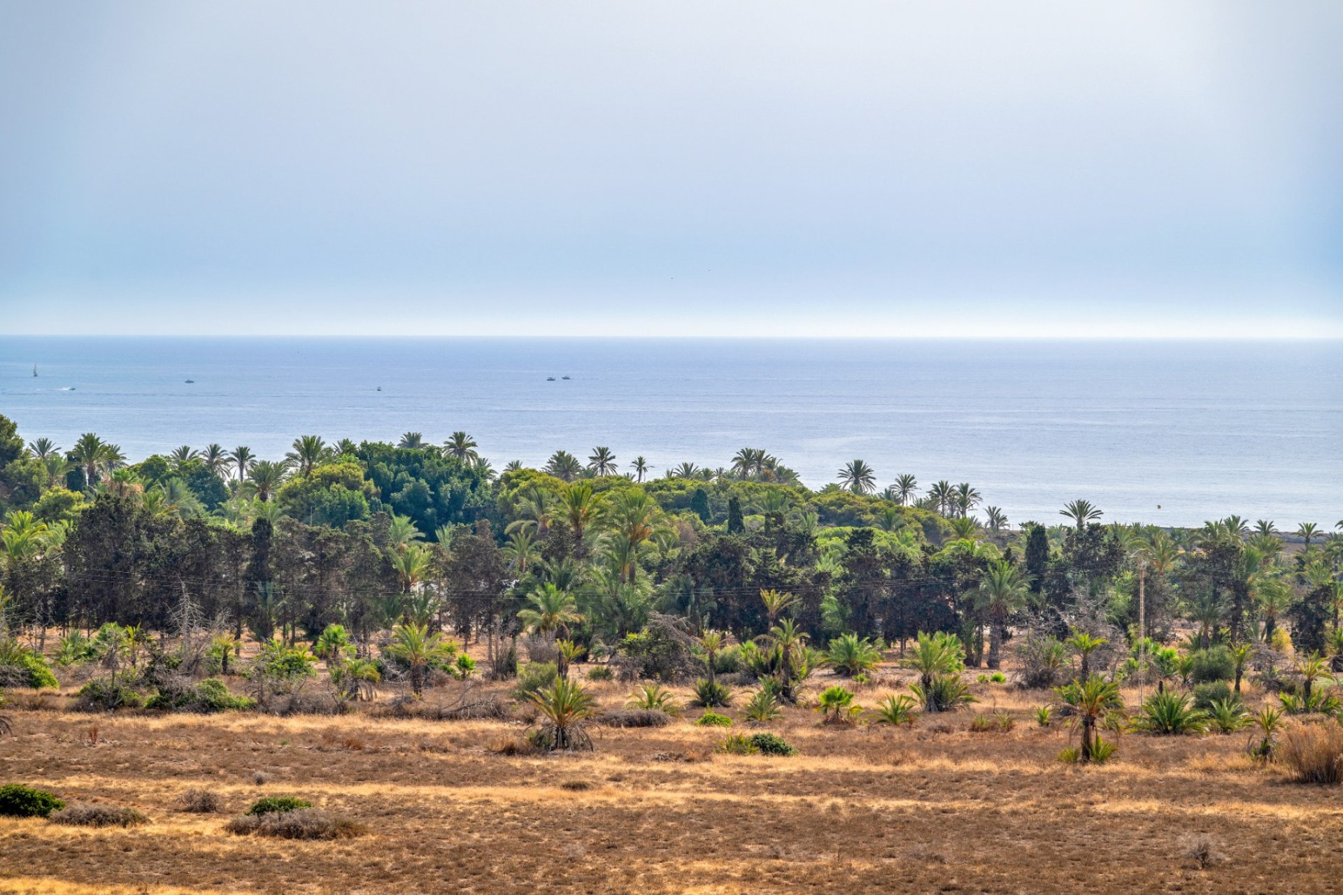 Herverkoop - Apartments - Flats - Torrevieia - Punta Prima