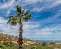 Herverkoop - Appartement / flat - Algorfa - LA FINCA GOLF / ALGORFA