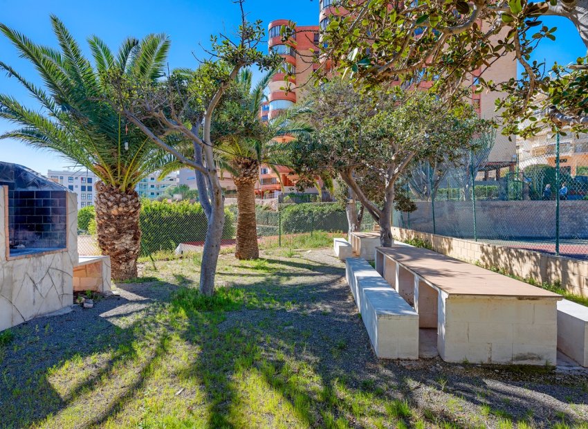 Herverkoop - Appartement / flat - Arenales del Sol - Segunda linea playa