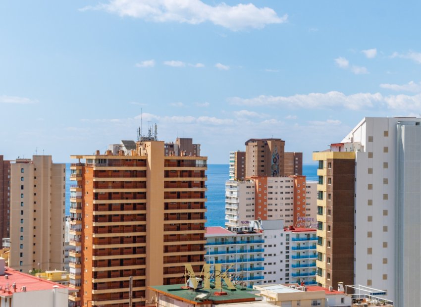 Herverkoop - Appartement / flat - Benidorm - Levante