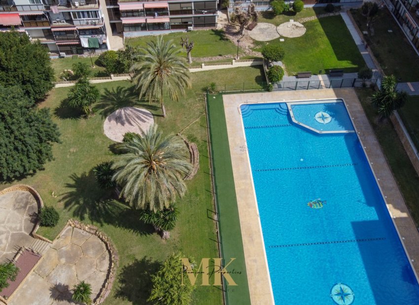 Herverkoop - Appartement / flat - Benidorm - Levante