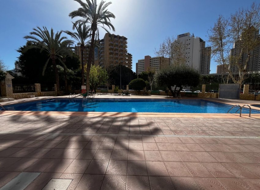 Herverkoop - Appartement / flat - Benidorm - Levante