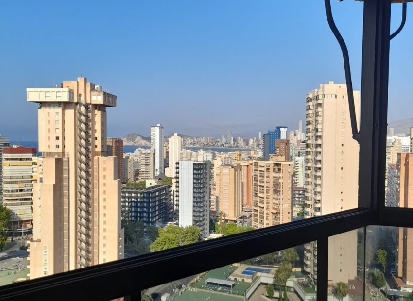 Herverkoop - Appartement / flat - Benidorm - Levante