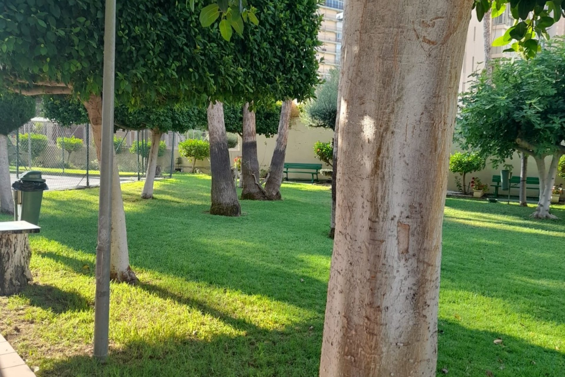 Herverkoop - Appartement / flat - Benidorm - Levante