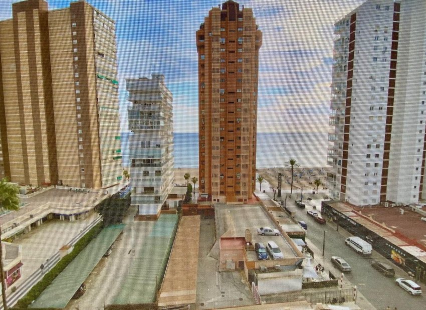 Herverkoop - Appartement / flat - Benidorm - Levante