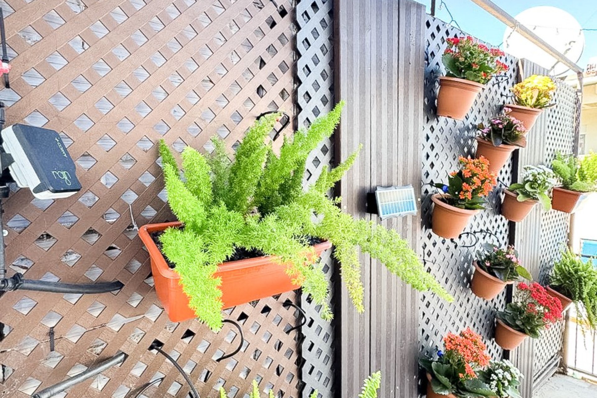 Herverkoop - Appartement / flat - Benidorm - Levante