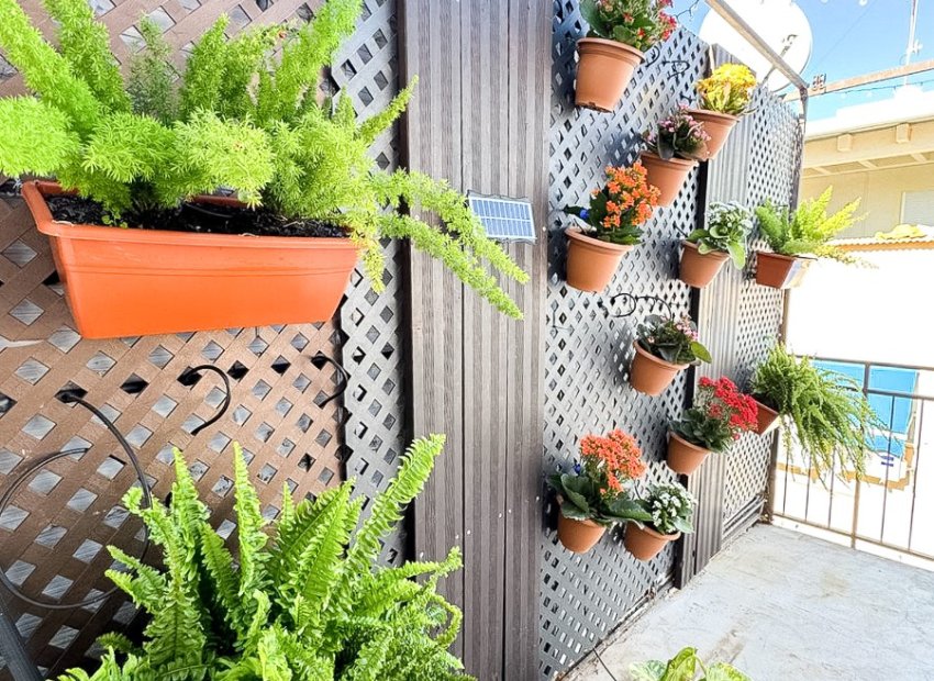 Herverkoop - Appartement / flat - Benidorm - Levante