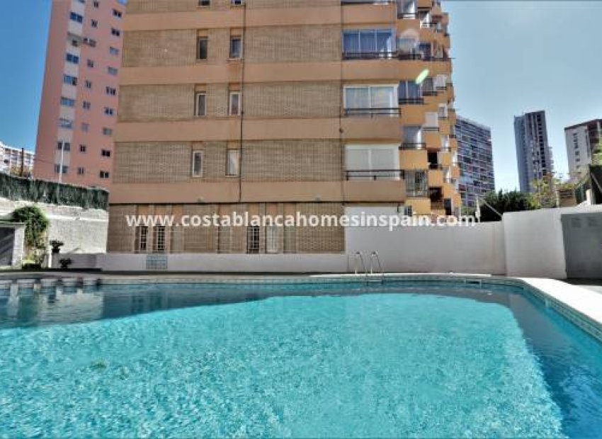 Herverkoop - Appartement / flat - Benidorm - Levante