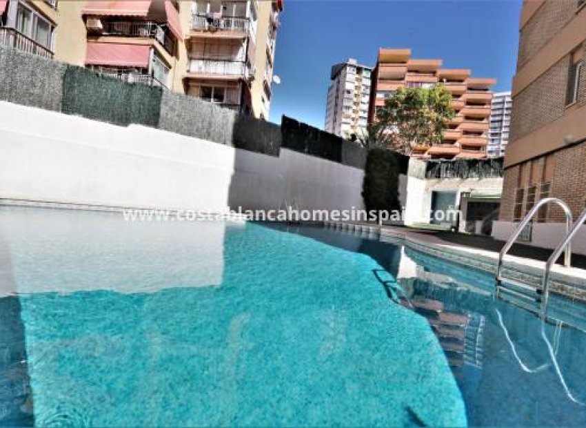Herverkoop - Appartement / flat - Benidorm - Levante