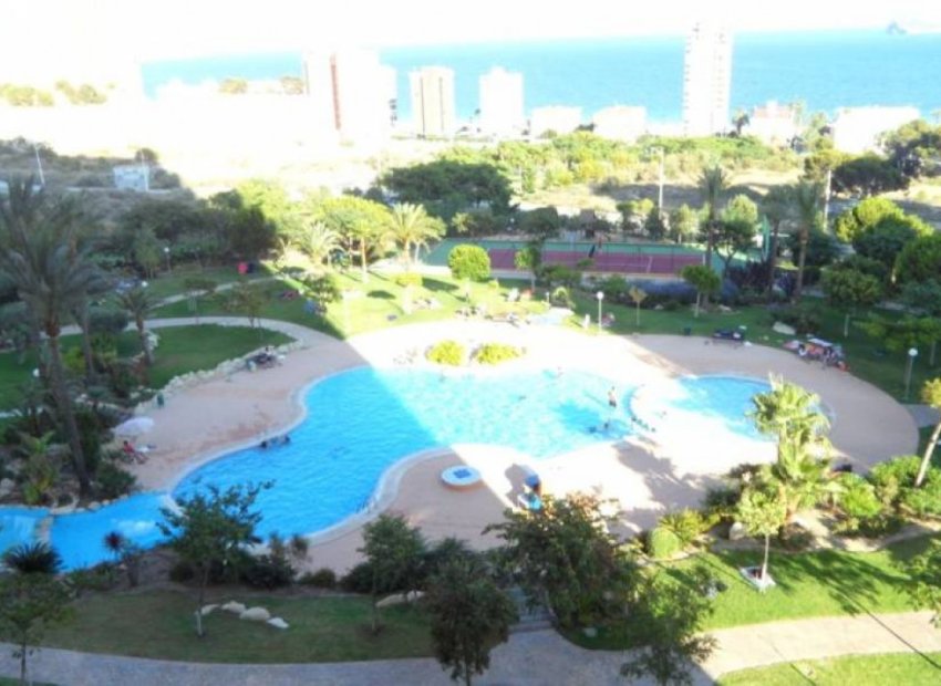 Herverkoop - Appartement / flat - Benidorm - Poniente