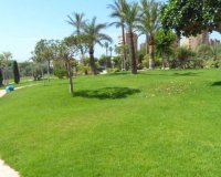 Herverkoop - Appartement / flat - Benidorm - Poniente