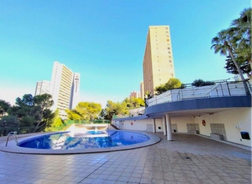 Herverkoop - Appartement / flat - Benidorm - Poniente