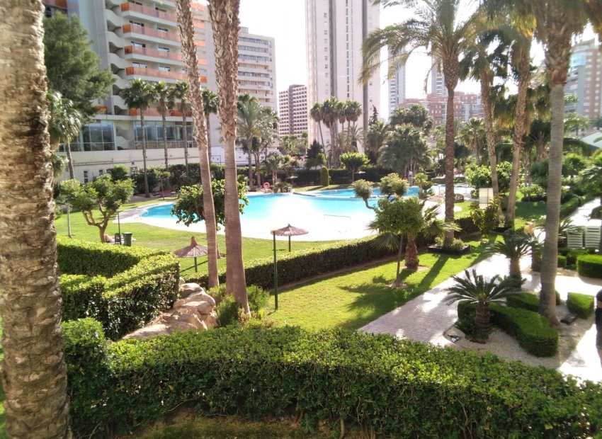 Herverkoop - Appartement / flat - Benidorm - Rincón de Loix