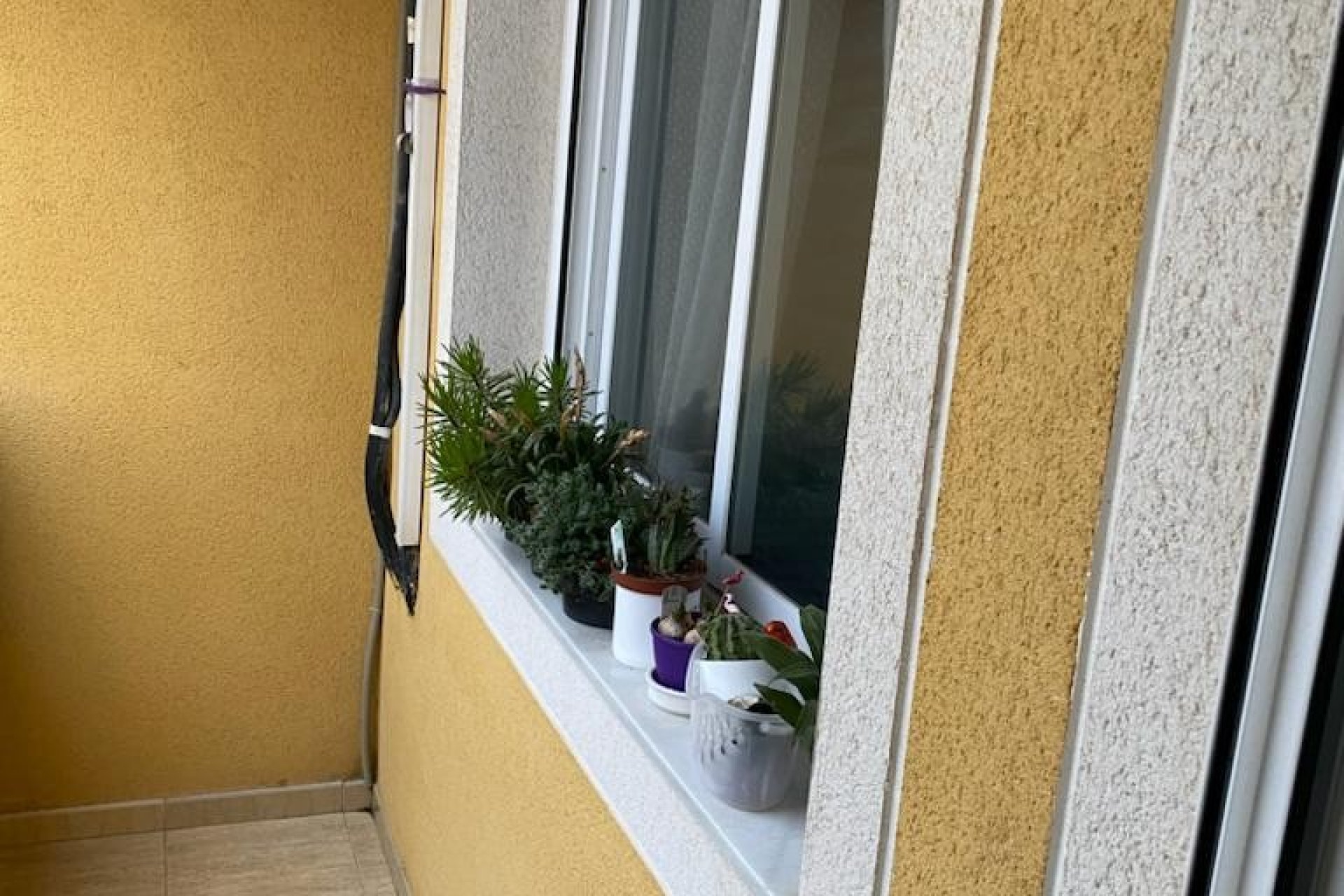 Herverkoop - Appartement / flat - Ciudad Quesada - Rojales