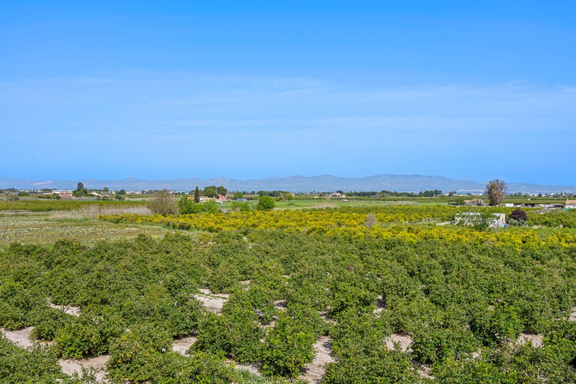 Herverkoop - Appartement / flat - Daya Nueva - Costa Blanca South