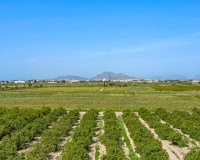 Herverkoop - Appartement / flat - Daya Nueva - Costa Blanca South