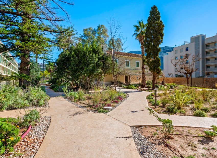 Herverkoop - Appartement / flat - Denia - Puerto