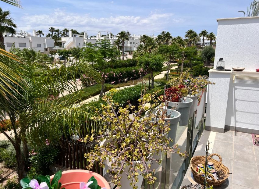 Herverkoop - Appartement / flat - Entre Naranjo - Vistabella Golf - Entre Naranjos