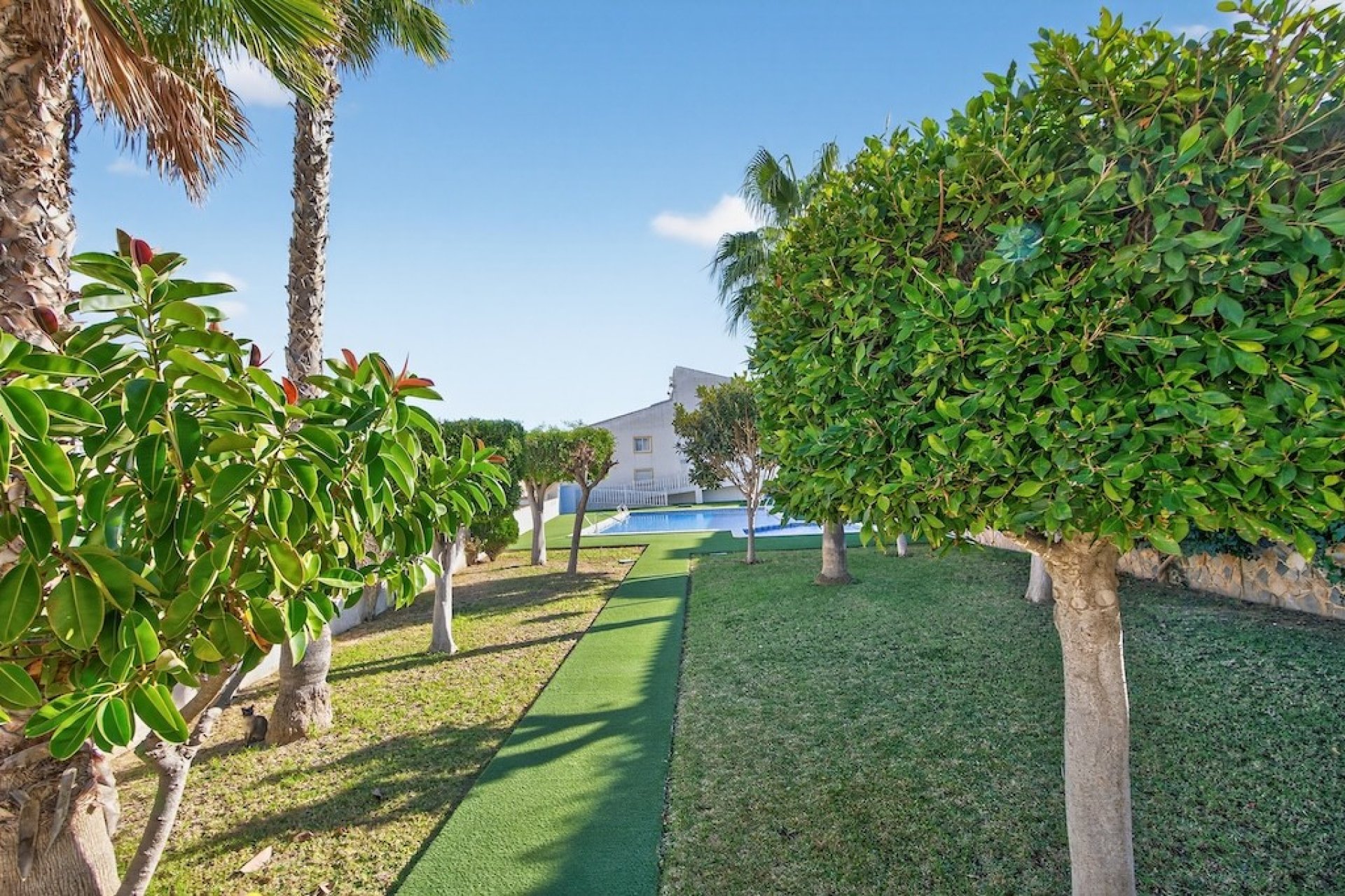 Herverkoop - Appartement / flat - Gran Alacant