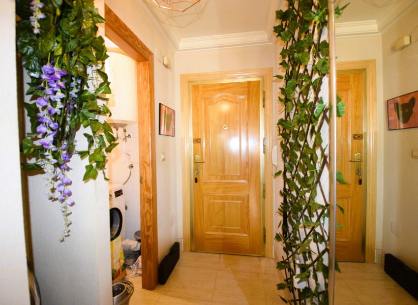 Herverkoop - Appartement / flat - Guardamar del Segura - Campomar