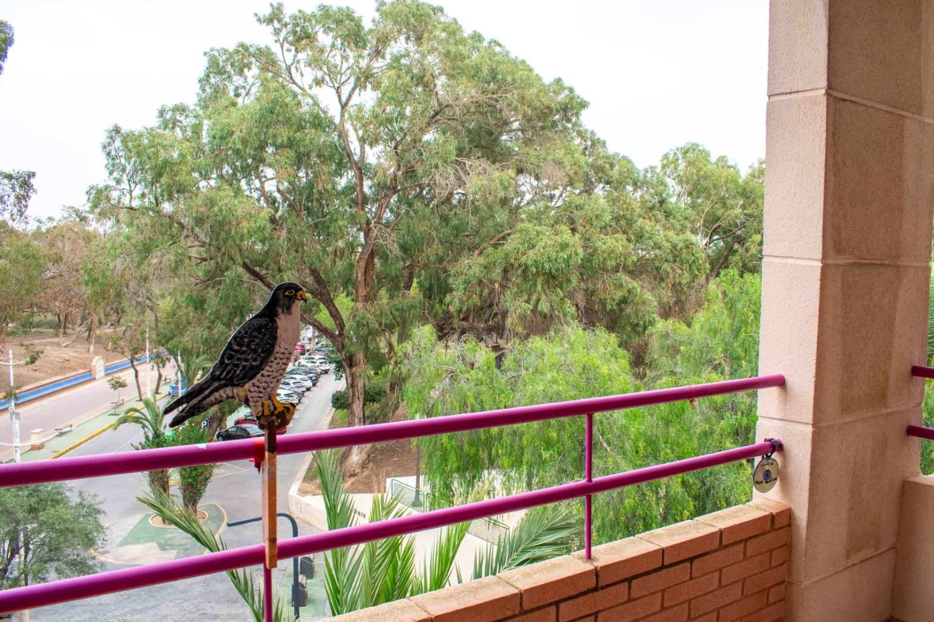 Herverkoop - Appartement / flat - Guardamar del Segura - Center